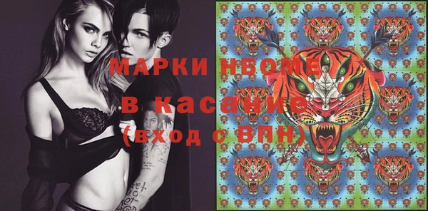прущие грибы Бугульма