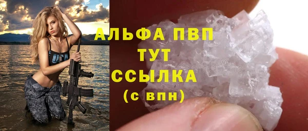 прущие грибы Бугульма