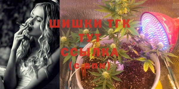 прущие грибы Бугульма