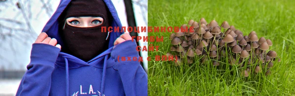 винт Бронницы