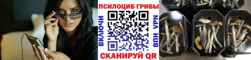 Псилоцибиновые грибы MAGIC MUSHROOMS кракен сайт маркетплейс как зайти Данков